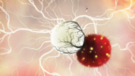 Botanicula screenshot 10