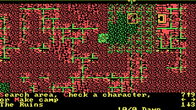 Wizard's Crown screenshot 3