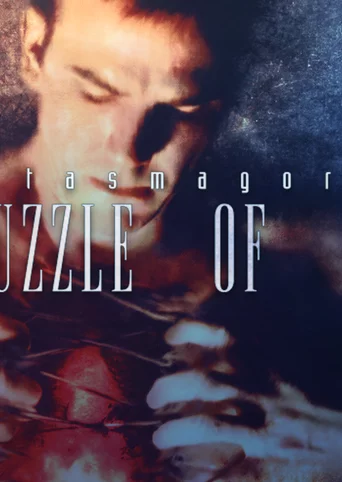 Phantasmagoria 2: A Puzzle of Flesh cover