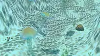 Marine Park Empire screenshot 2