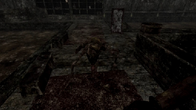 Labyrinth Of The Demon King screenshot 6
