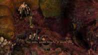 Sanitarium screenshot 3