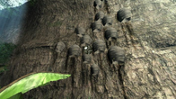 Amerzone: The Explorer's Legacy (1999) screenshot 7