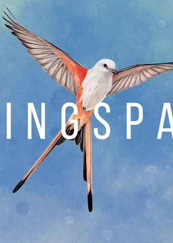 Wingspan cover