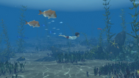 Storm Boy screenshot 1