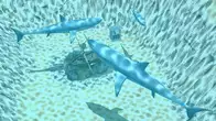 Marine Park Empire screenshot 4