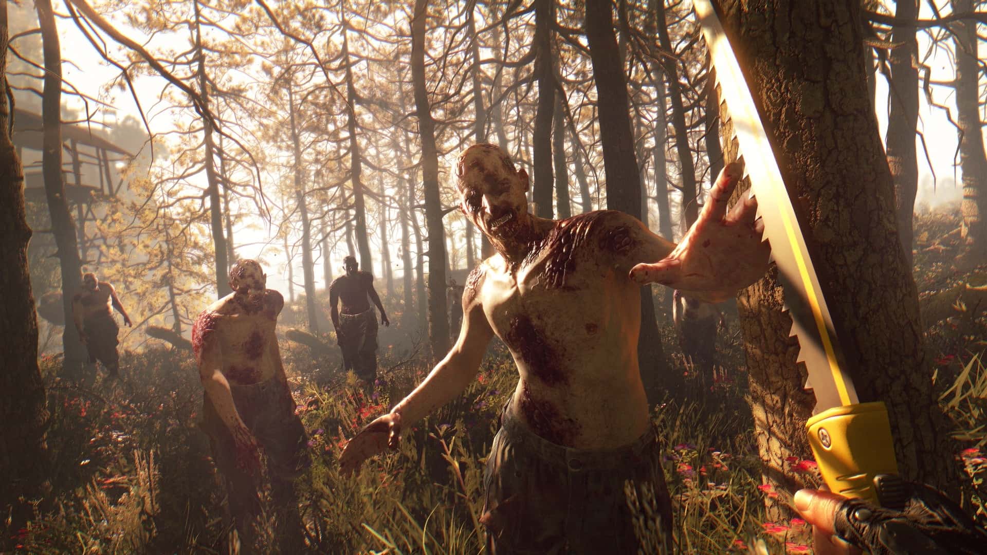 #5. Dying Light: Definitive Edition (GOG) 由: Techland