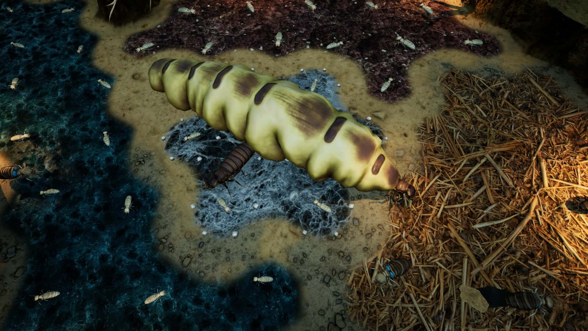 #10. Empires of the Undergrowth - Exploding Ants (GOG) โดย: Hooded Horse