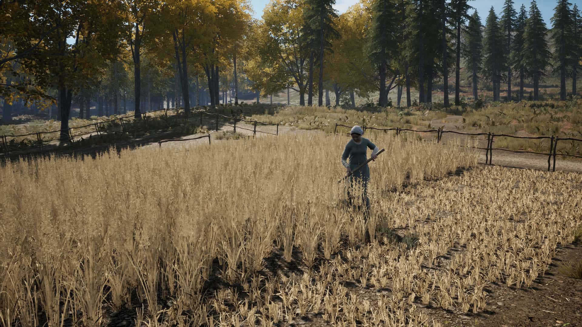 #9. Medieval Dynasty - Digital Supporter Edition (GOG) 由: Toplitz Productions