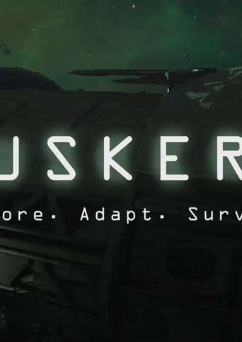 Duskers cover