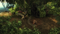Risen screenshot 8