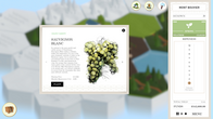 Terroir screenshot 9