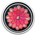 Dahlia View Digital Deluxe