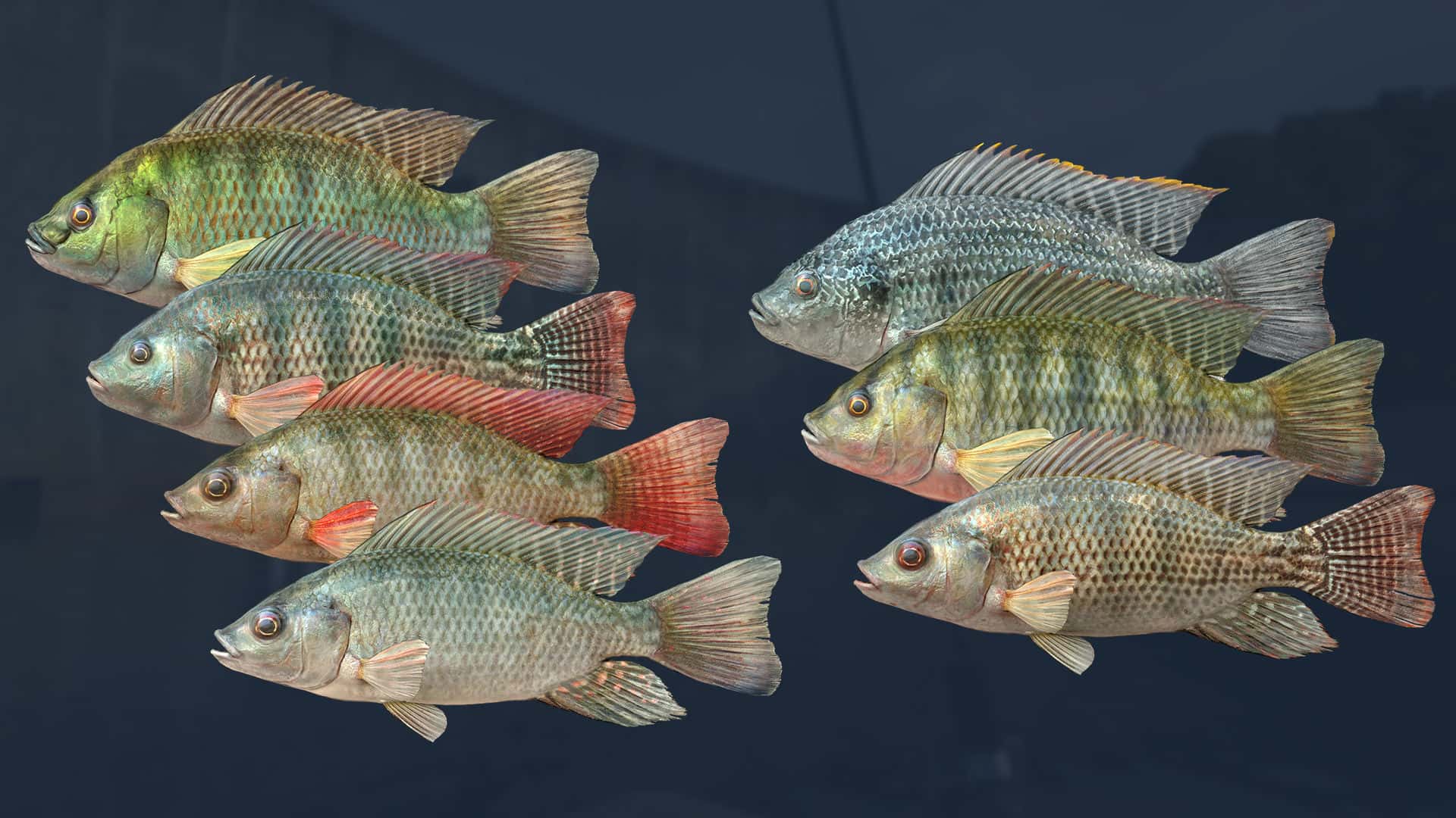 #3. Ultimate Fishing Simulator - Kariba Dam DLC (GOG) By: Ultimate Games S.A.