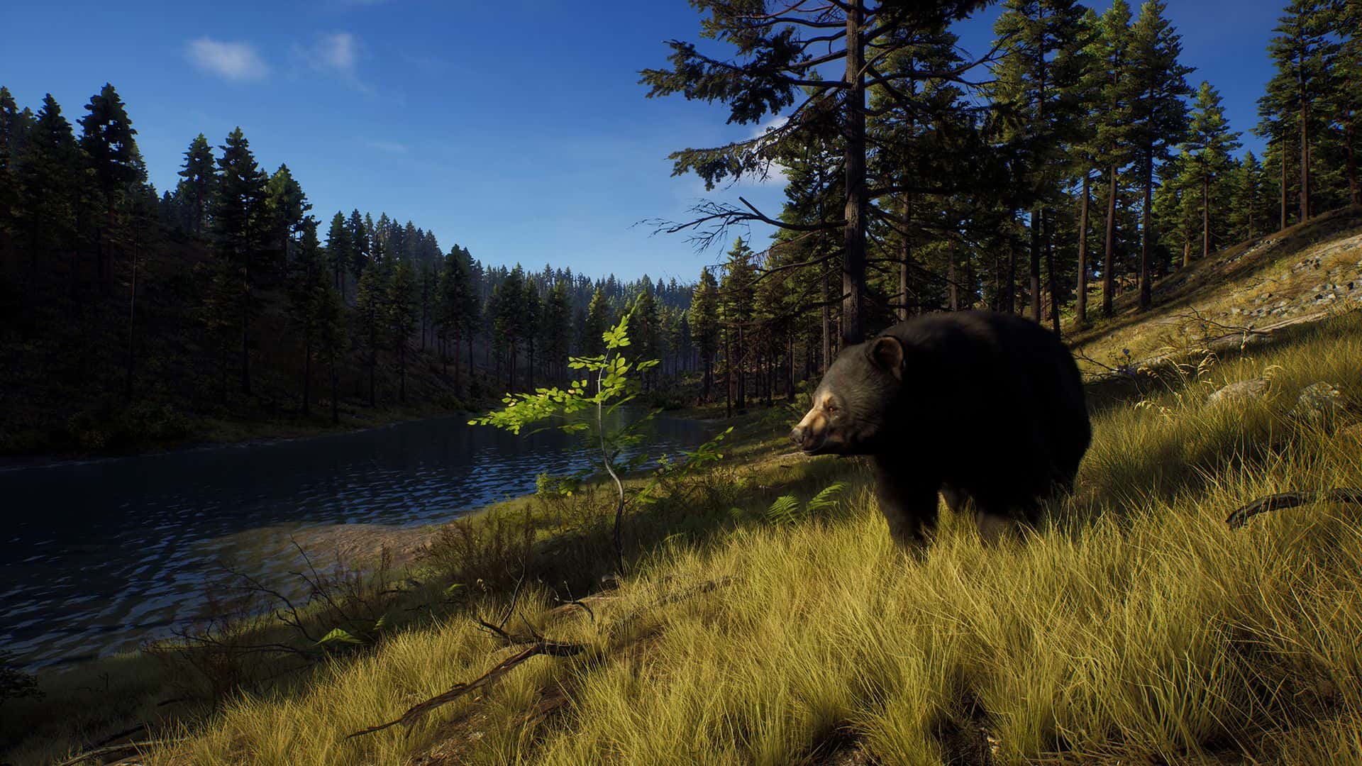 #9. Way of the Hunter Elite Edition (GOG) 由: THQ Nordic GmbH