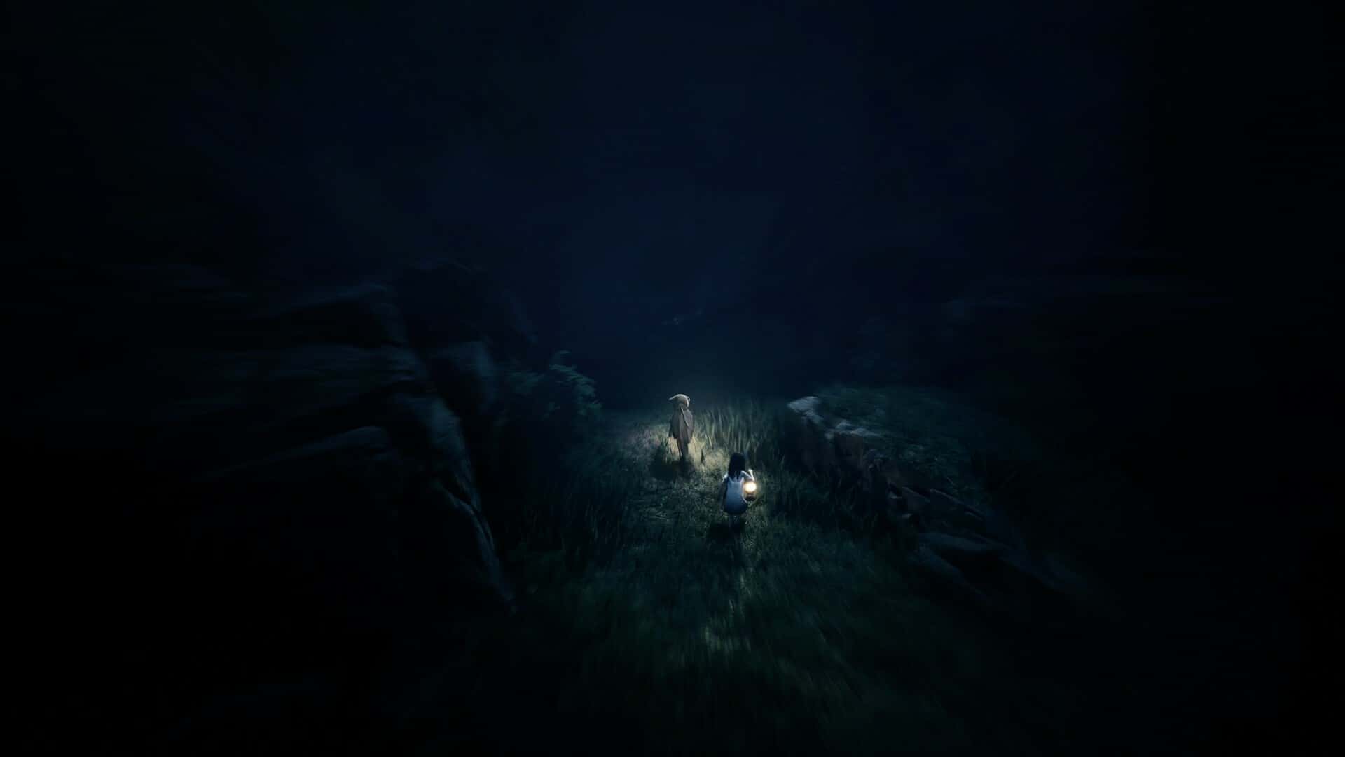 #4. REANIMAL (GOG) By: THQ Nordic, Amplifier Studios