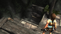 Tomb Raider: Anniversary screenshot 4
