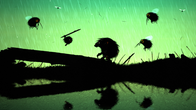 Feist screenshot 3