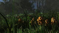 Miasmata screenshot 7