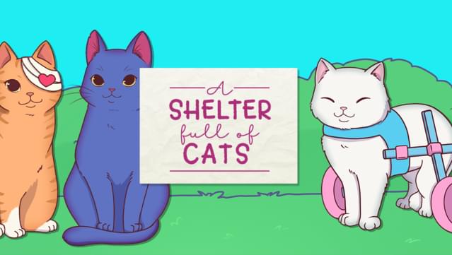 A Shelter Full of Cats