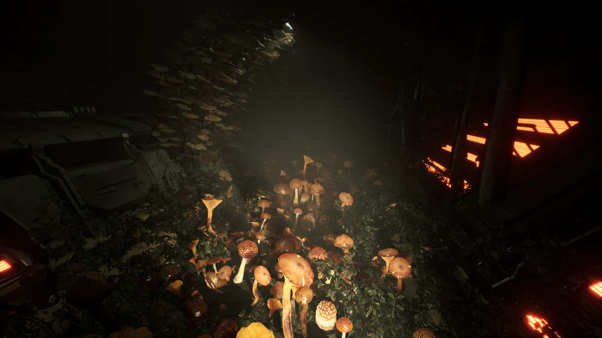 #6. ANIMAL USE PROTOCOL (GOG) От: The Brotherhood