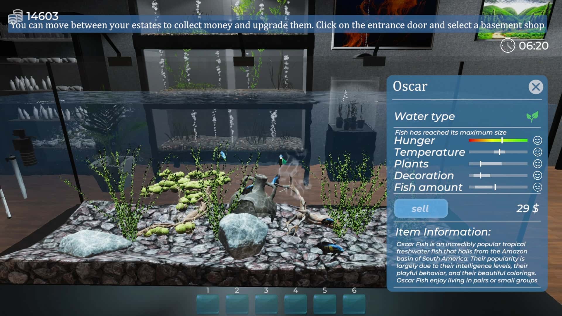 #6. Aquarist (GOG) Podle: FreeMind S.A.
