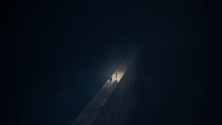 REANIMAL screenshot screenshot 8