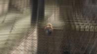 Sniper Elite: Berlin 1945 screenshot 9