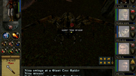 Wizards & Warriors screenshot 10