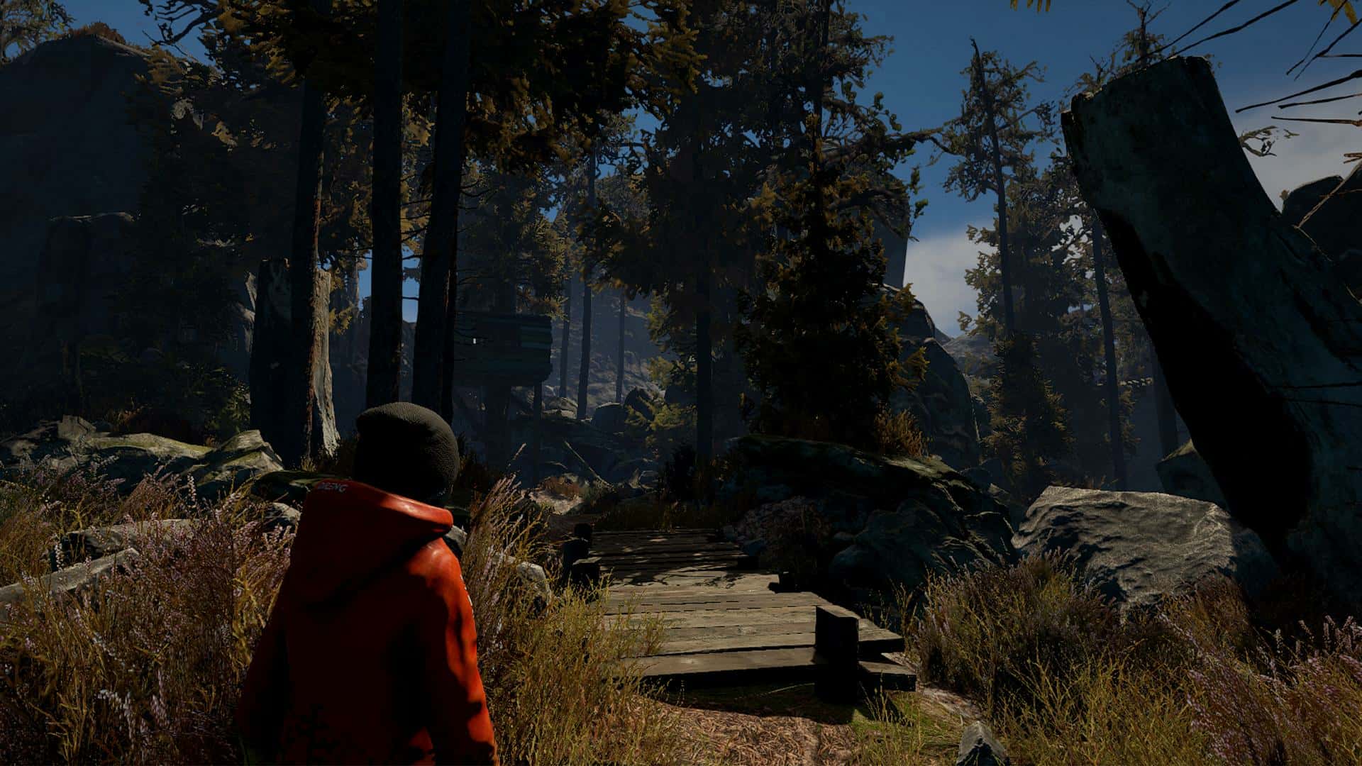 #1. Through the Woods: Collector's Edition (GOG) 由: Fulqrum Publishing