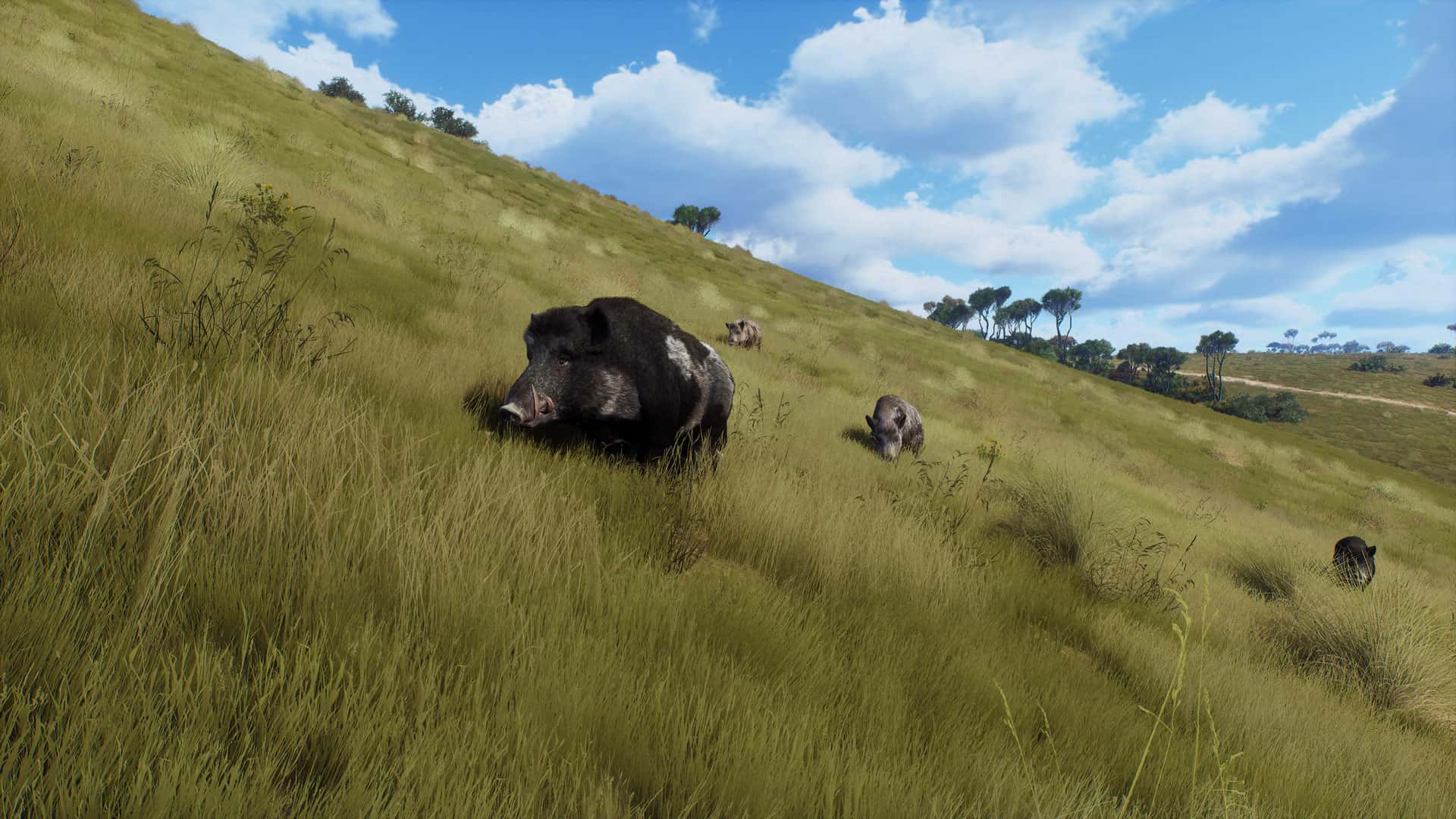 #4. Way of the Hunter – Matariki Park (GOG) Podle: THQ Nordic GmbH