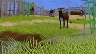 Zoo Empire screenshot 5