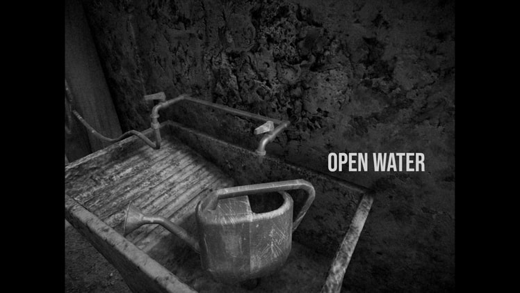 HORSES screenshot screenshot 3