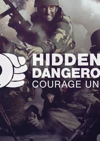 Hidden & Dangerous 2: Courage Under Fire cover