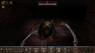 Dungeons of DUSK screenshot 9