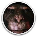 ANIMAL USE PROTOCOL