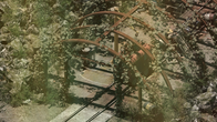 Rauniot screenshot 10