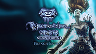 Купить ключ дешево Neverwinter Nights. Enhanced Edition. French Extras