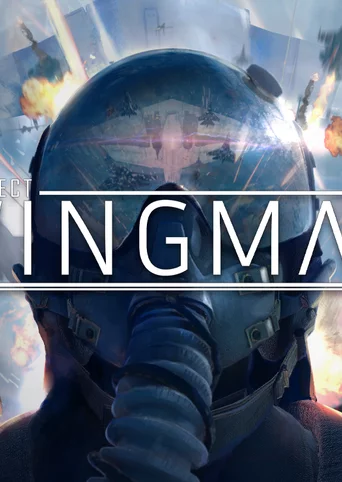 Project Wingman cover